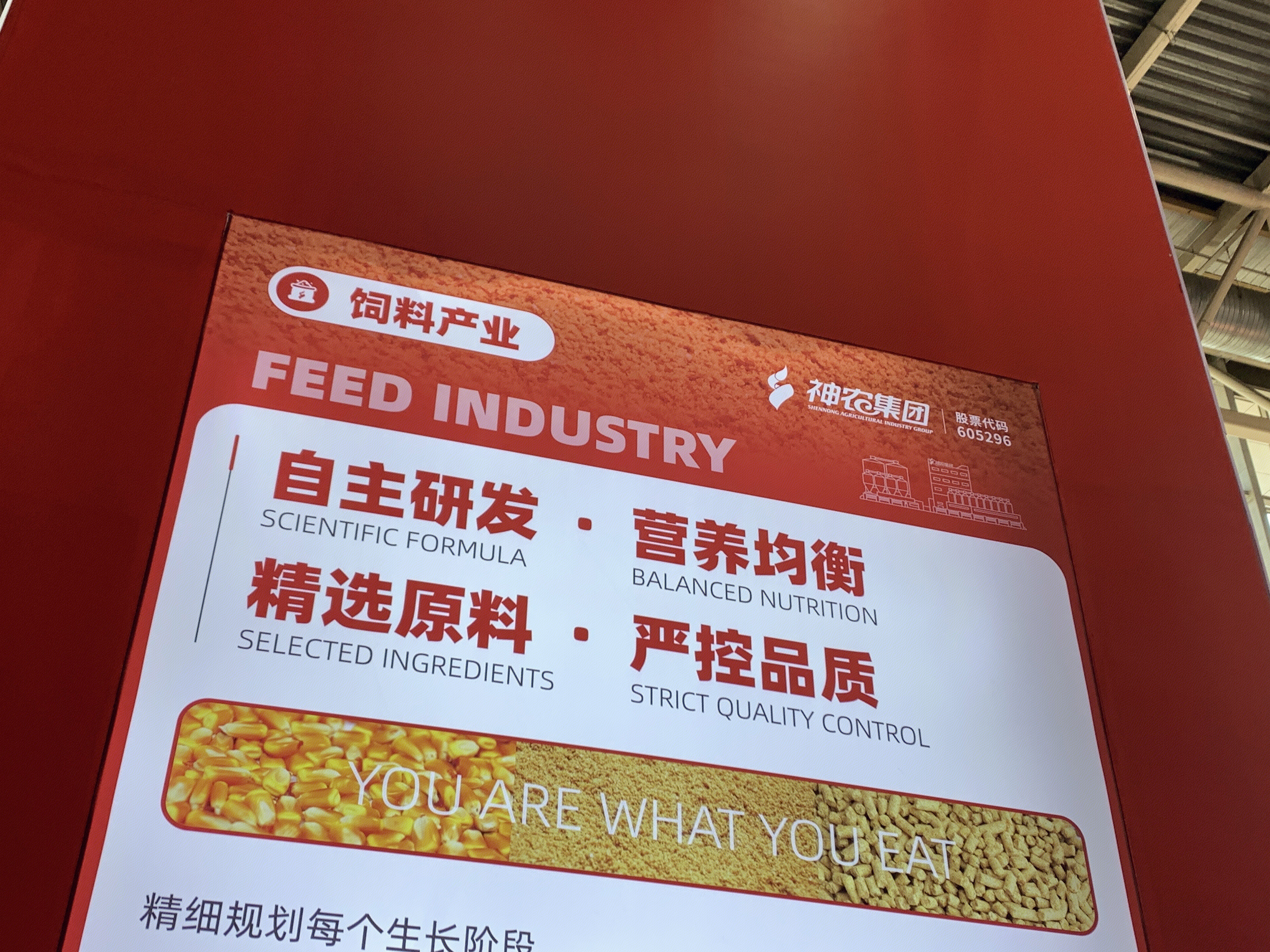 神农集团 养猪企业 农牧企业 饲料产业
