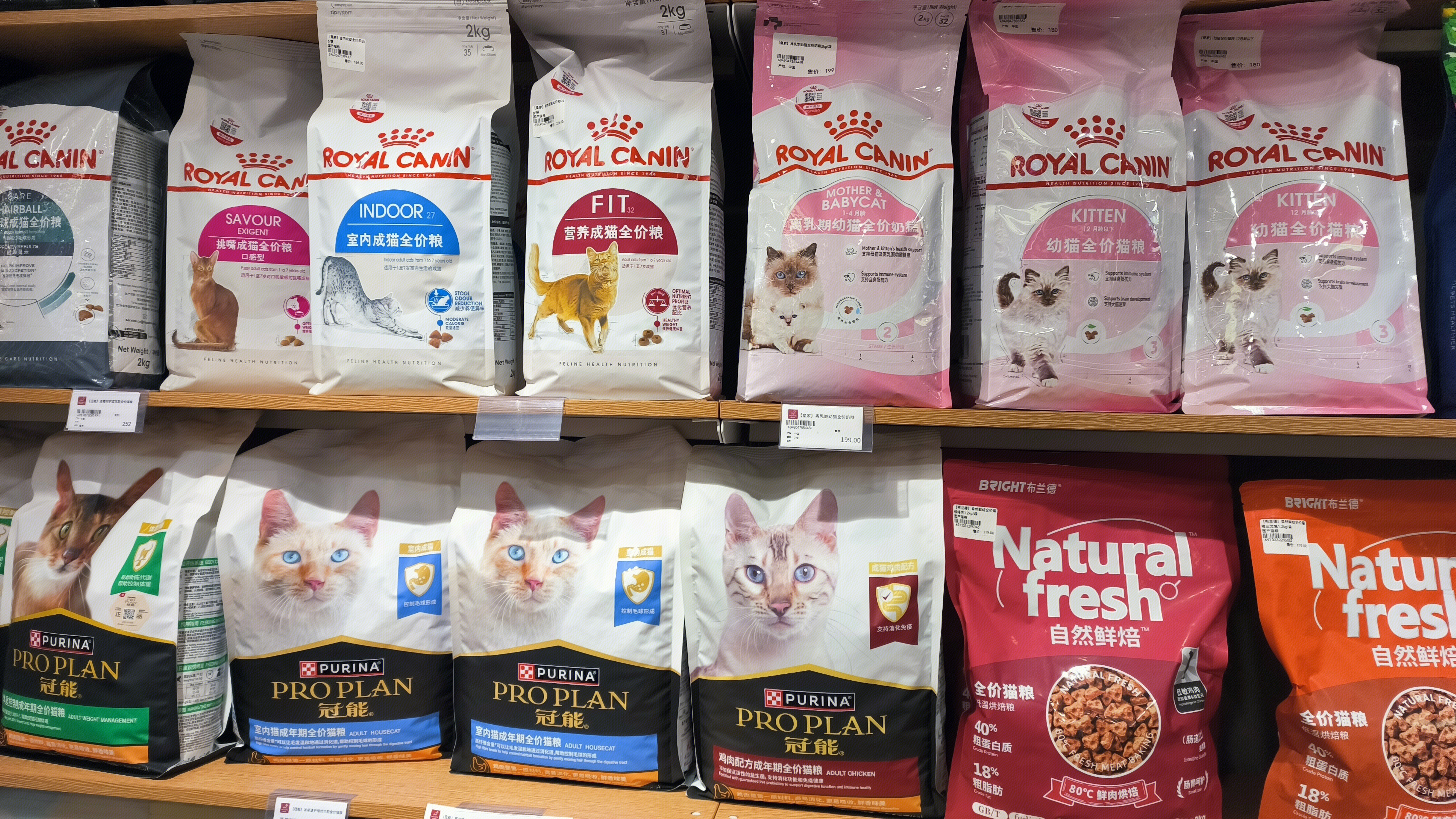 宠物粮 宠物食品 猫粮