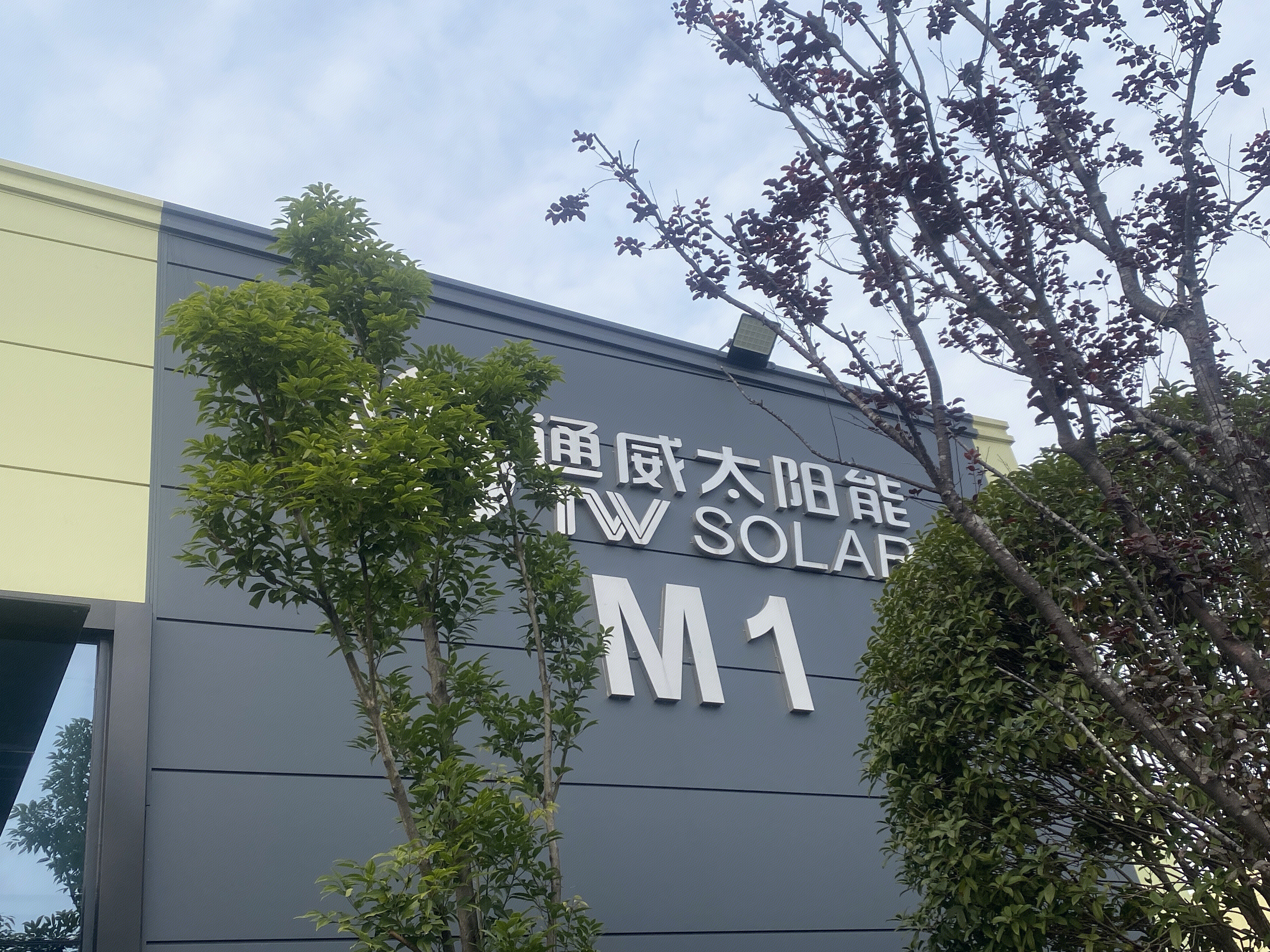 通威太阳能 TW SOLAR