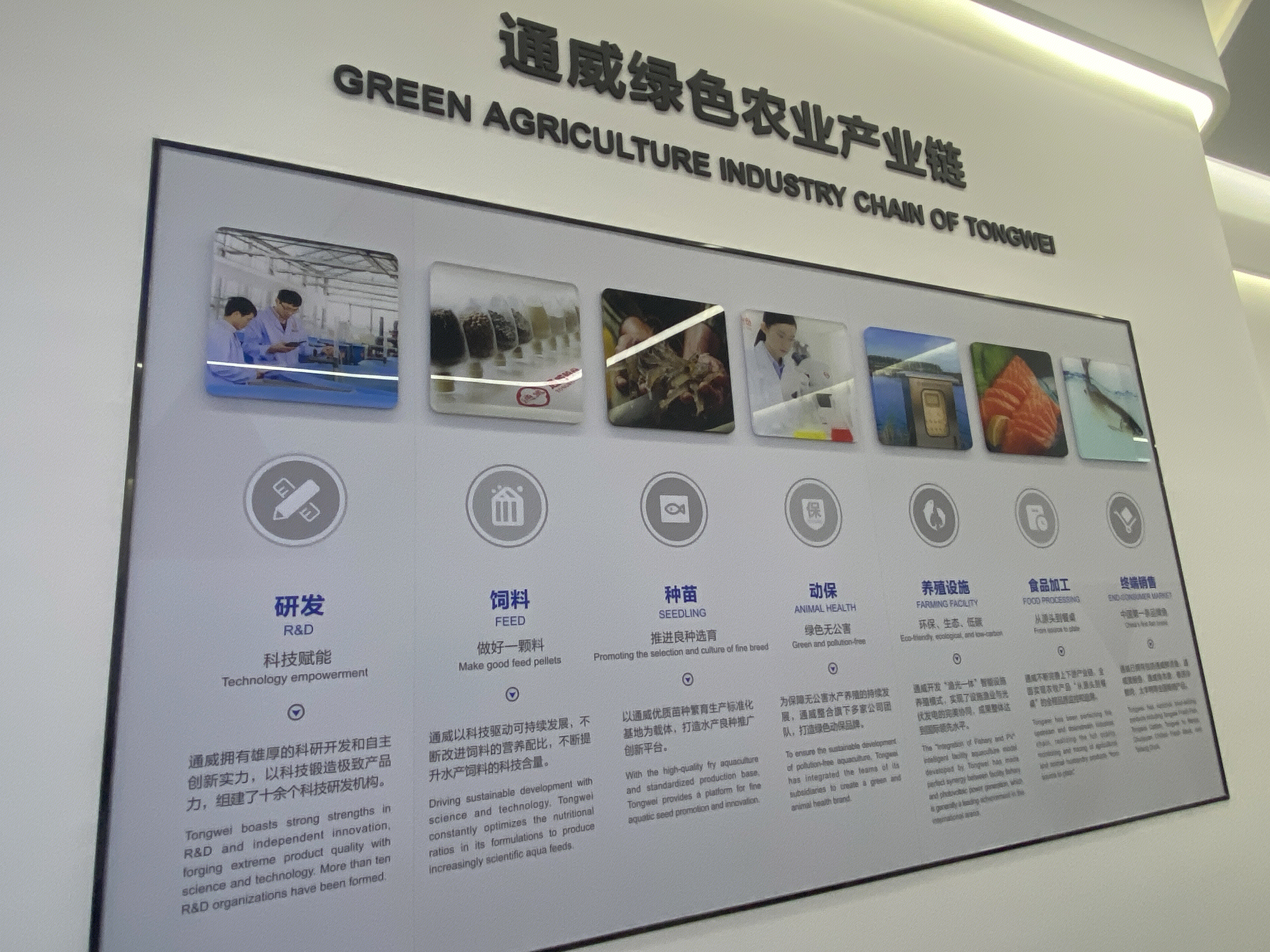 通威绿色农业产业链