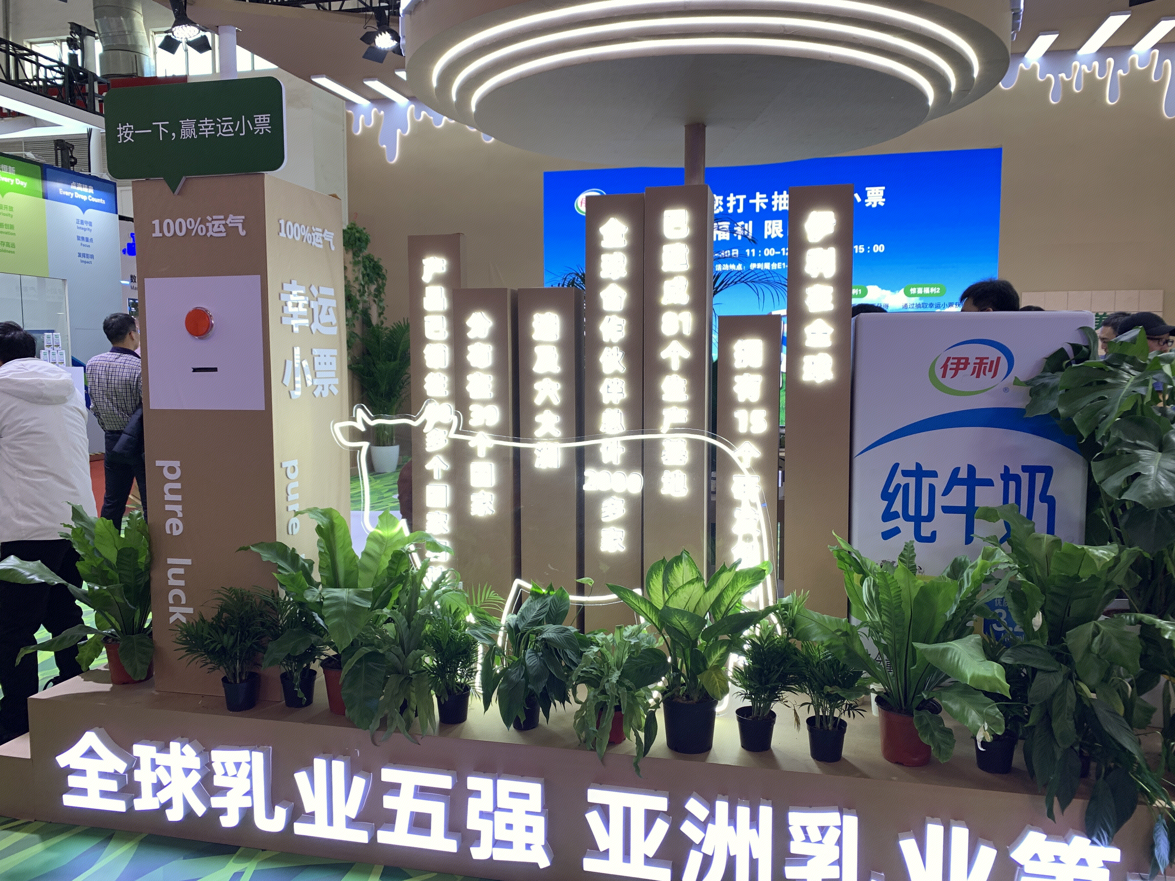 伊利 伊利纯牛奶 乳制品品牌