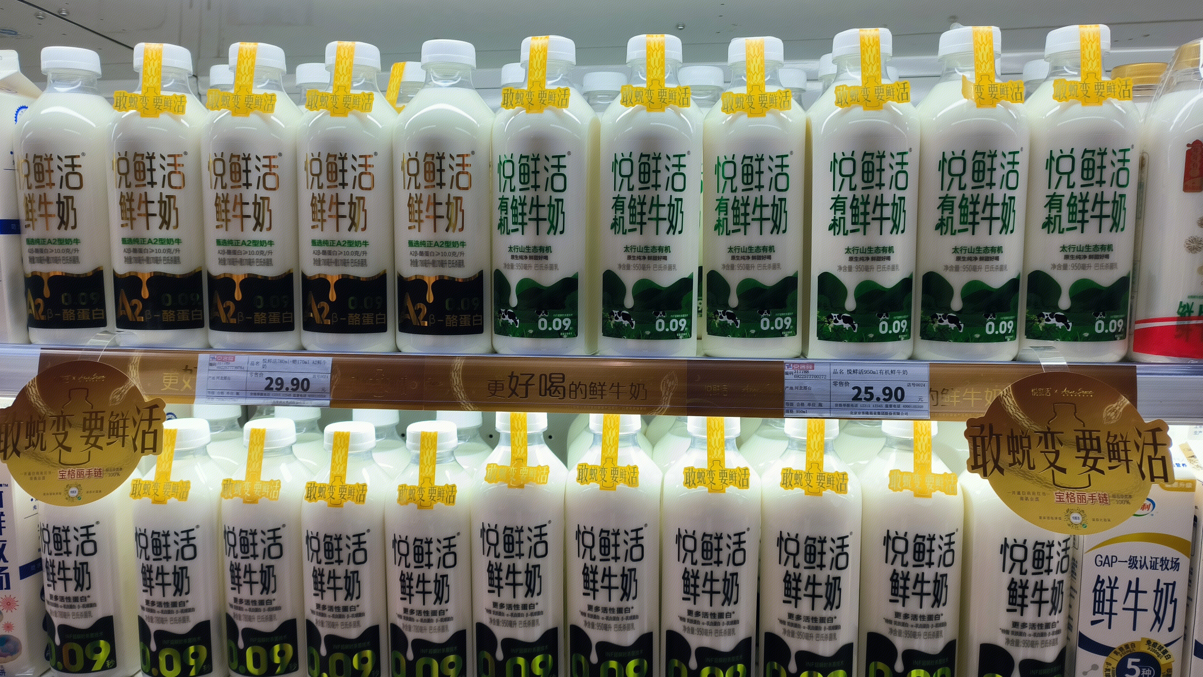 悦鲜活有机鲜奶 鲜牛奶 乳制品