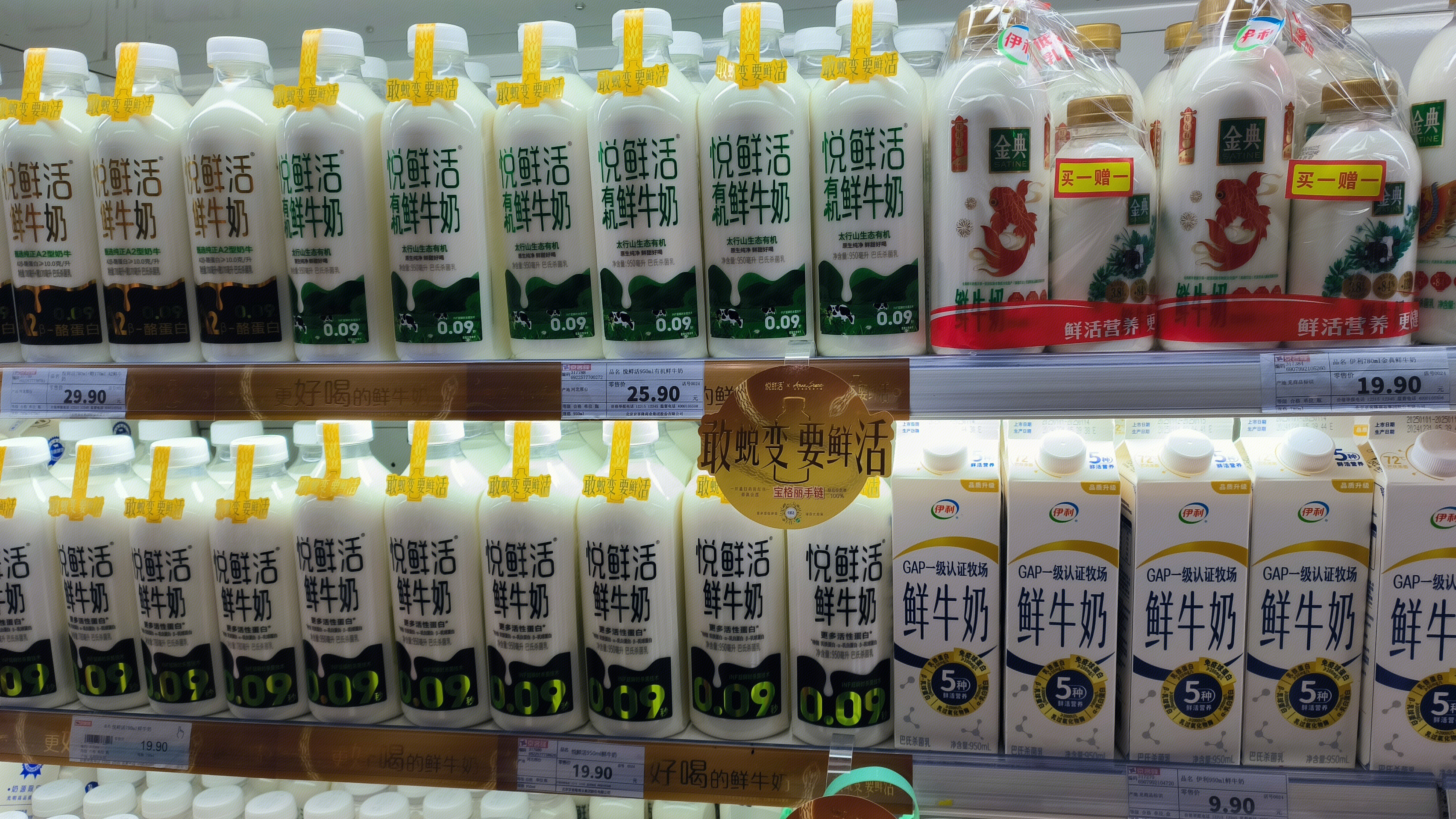 悦鲜活有机鲜奶 鲜牛奶 乳制品 伊利鲜牛奶 金典鲜牛奶