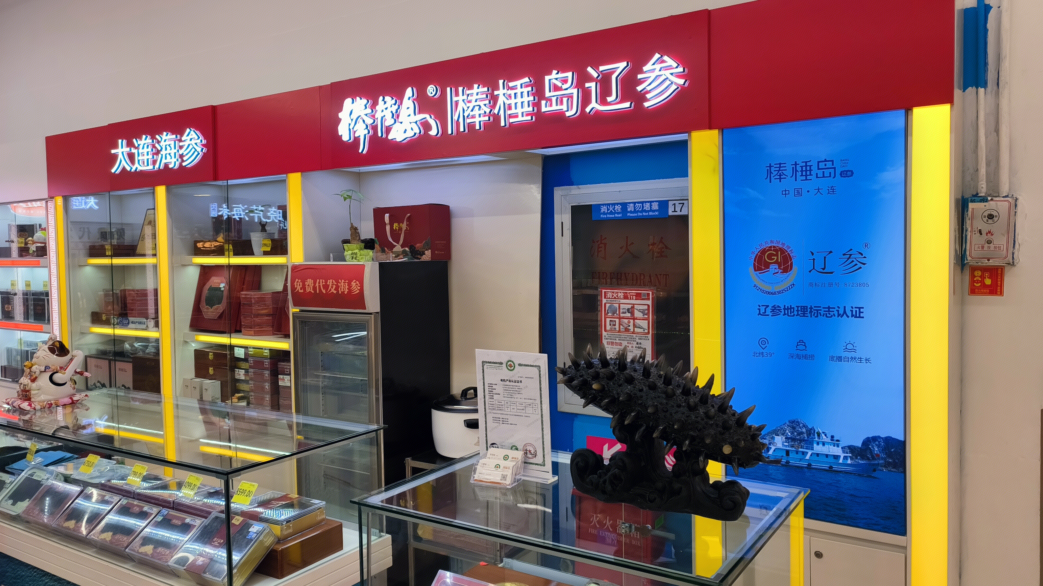 大连海参 棒棰岛辽参 好神品牌
