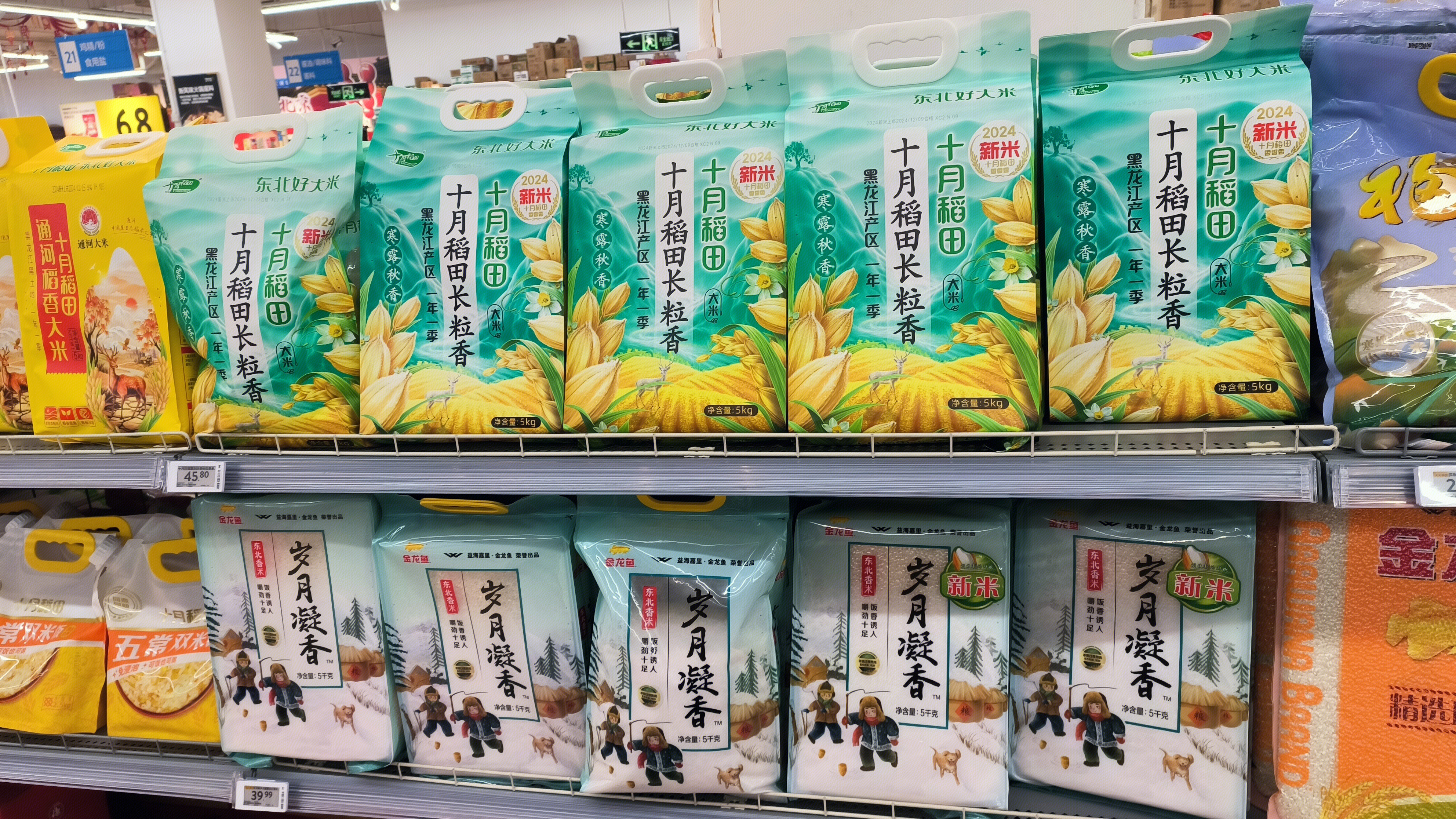 东北大米 十月稻田 长粒米 粮食 大米