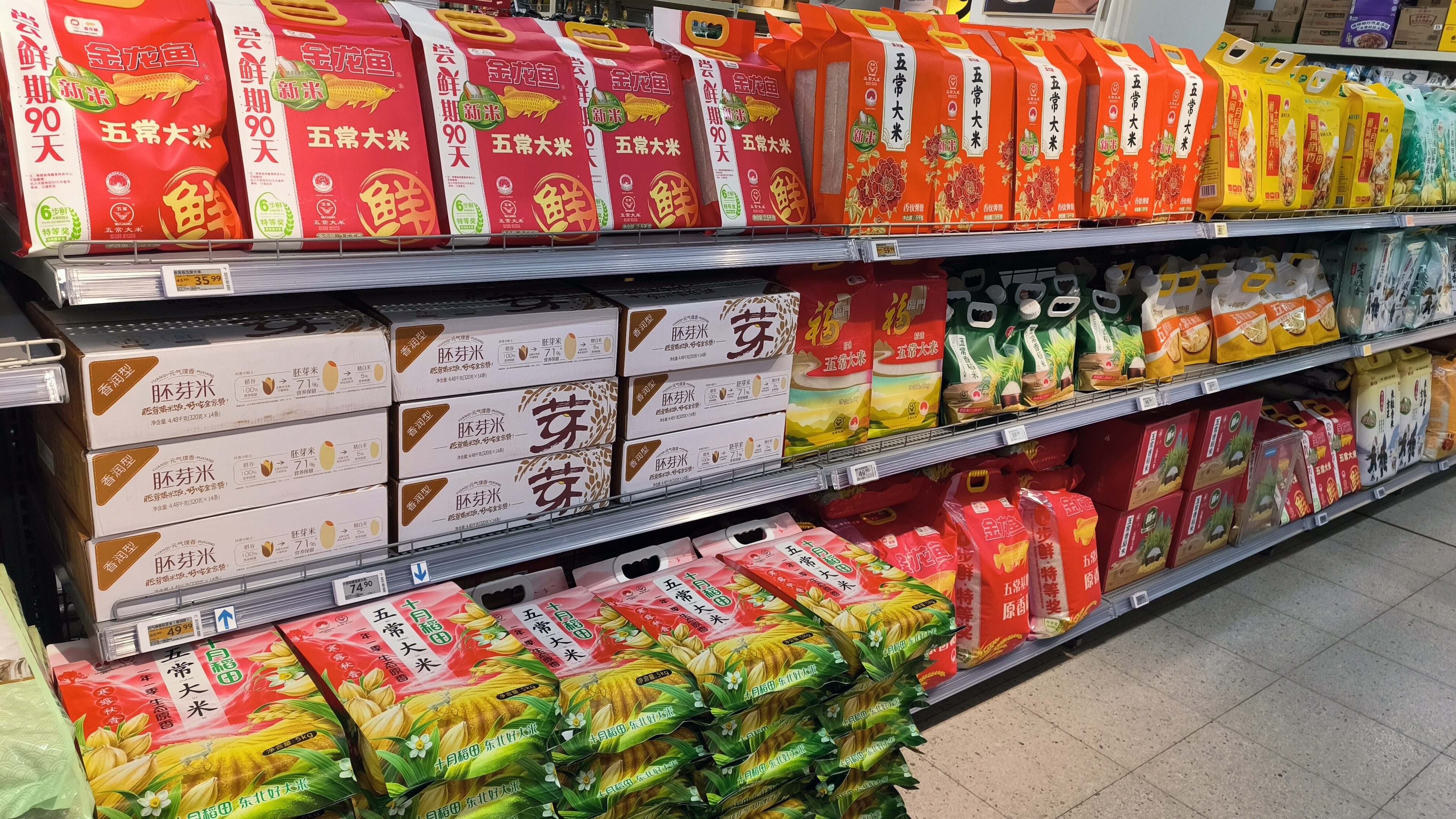 金龙鱼 五常大米 胚芽米 粮食