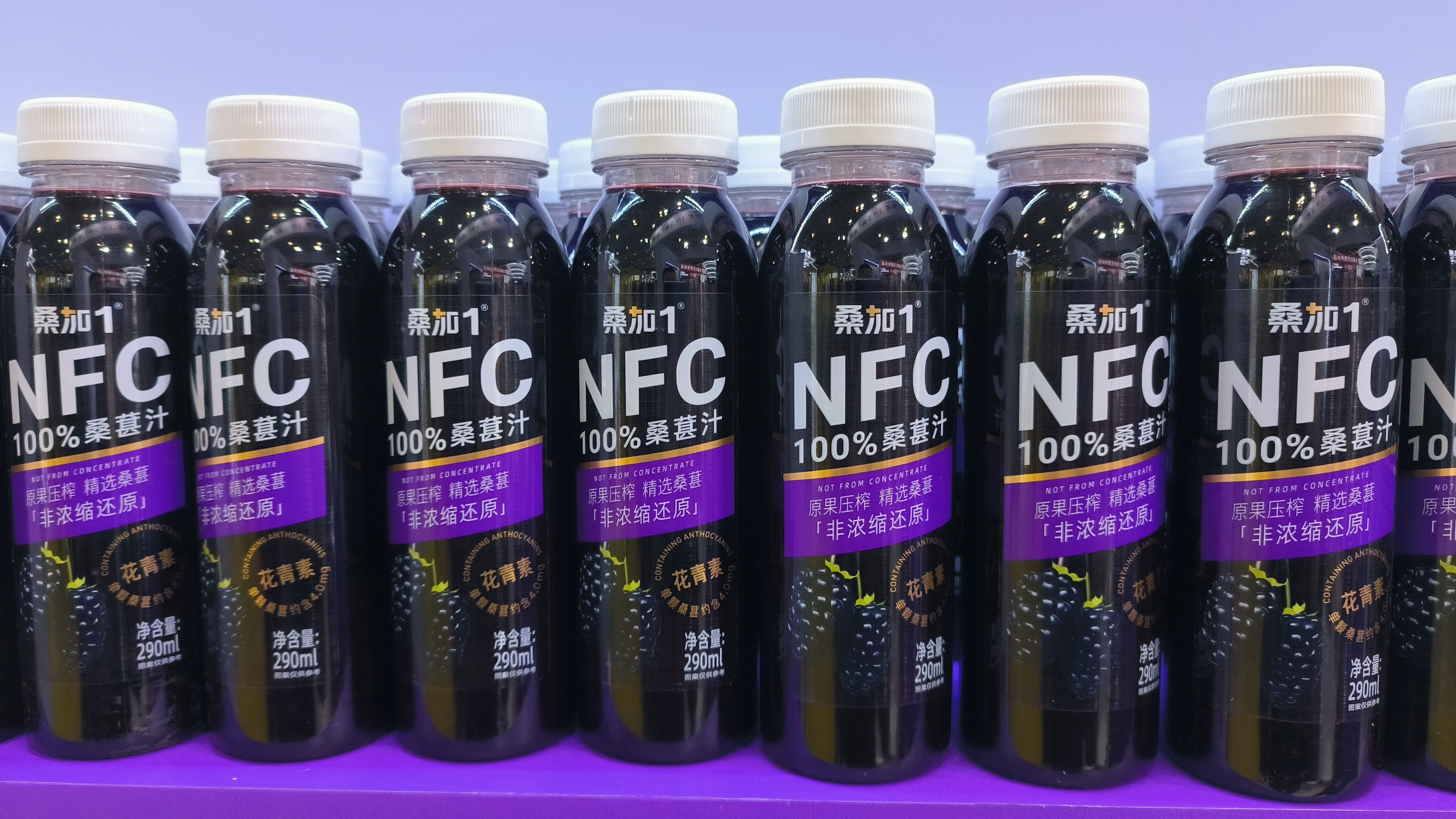 桑加1 桑甚汁 果汁 饮料 饮品