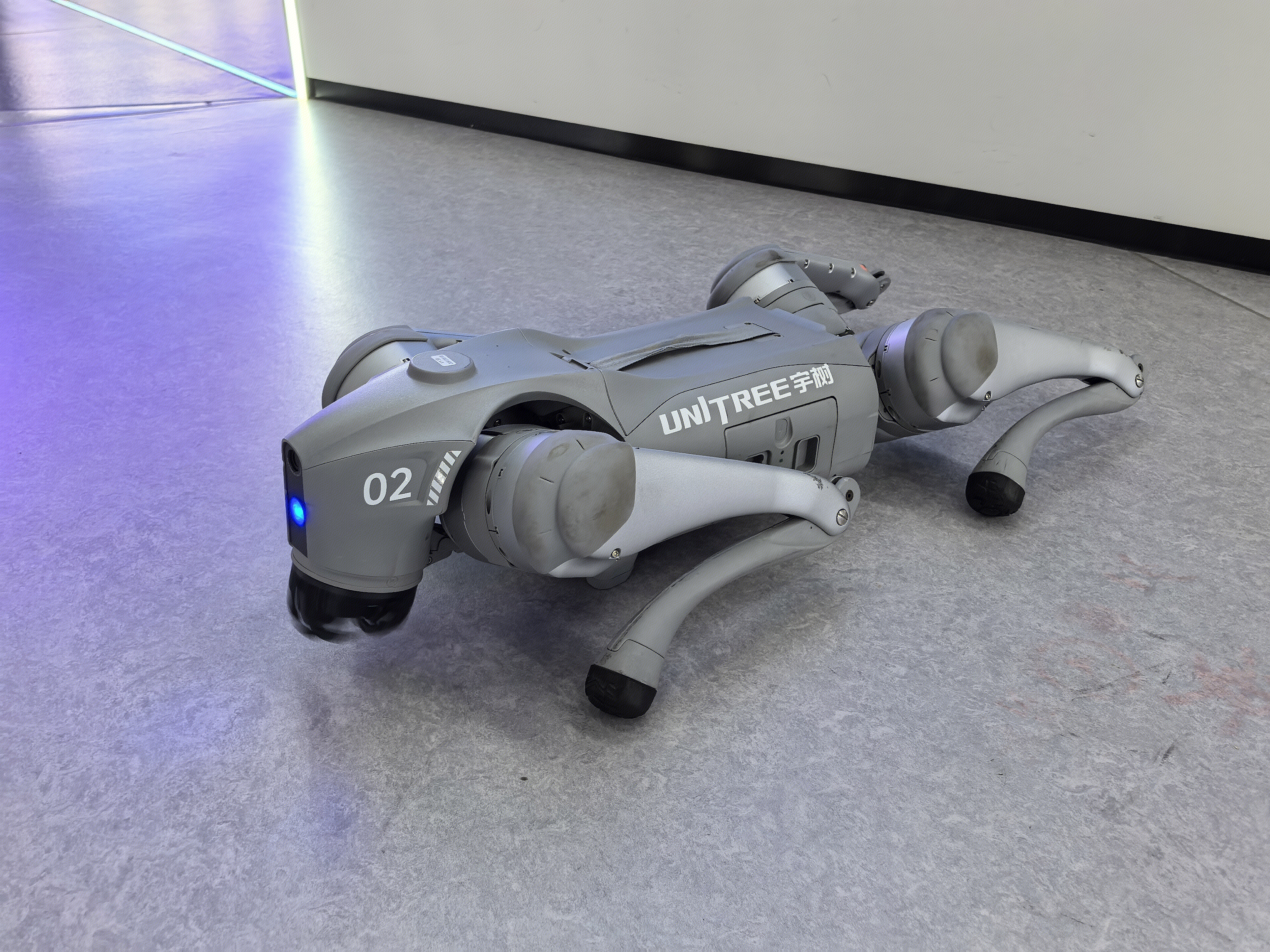 Unitree 机器狗 G02机器狗 宇树科技 犬型机器人