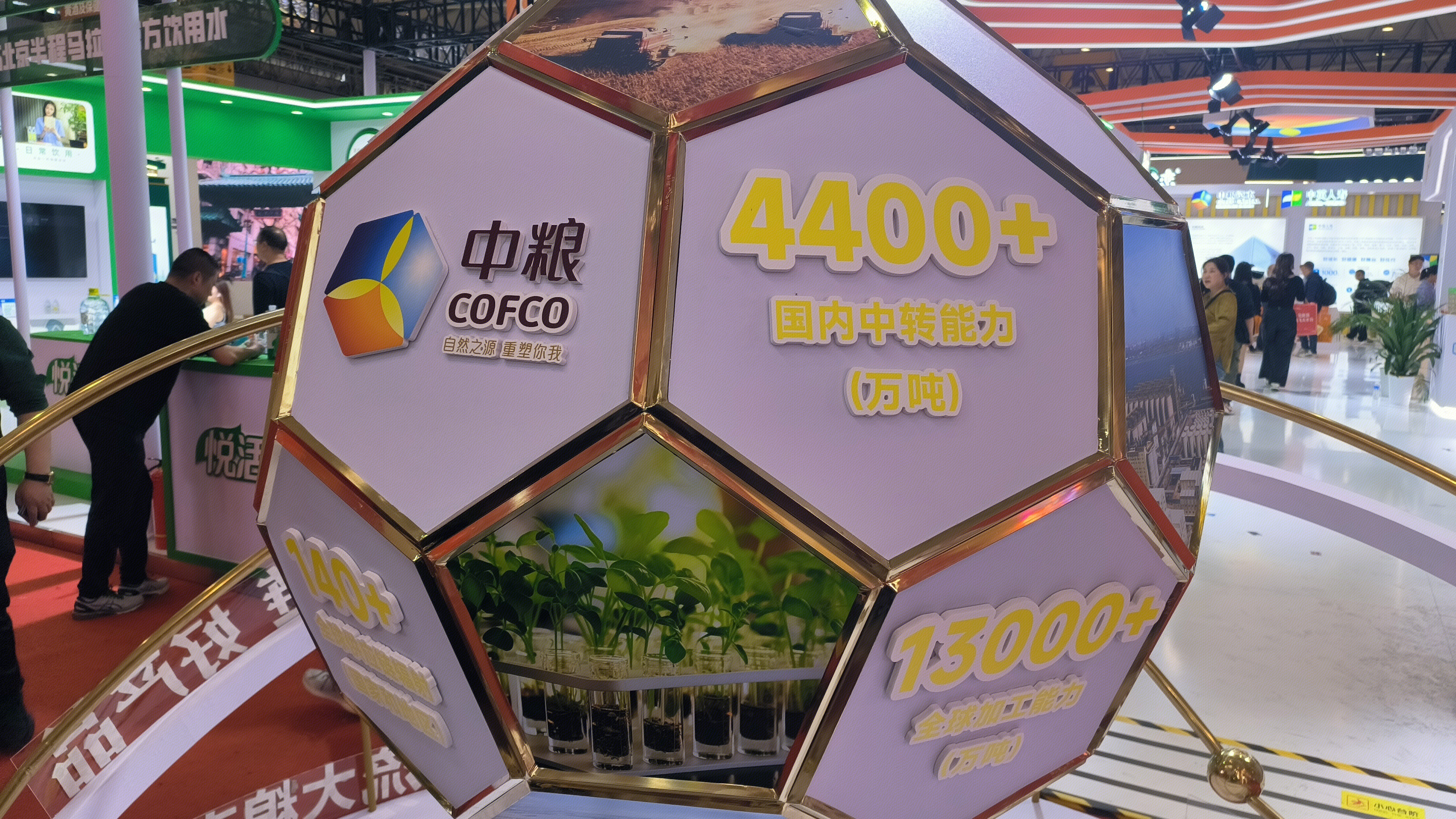 中粮集团 COFCO 国际大粮商 粮油食品进出口公司