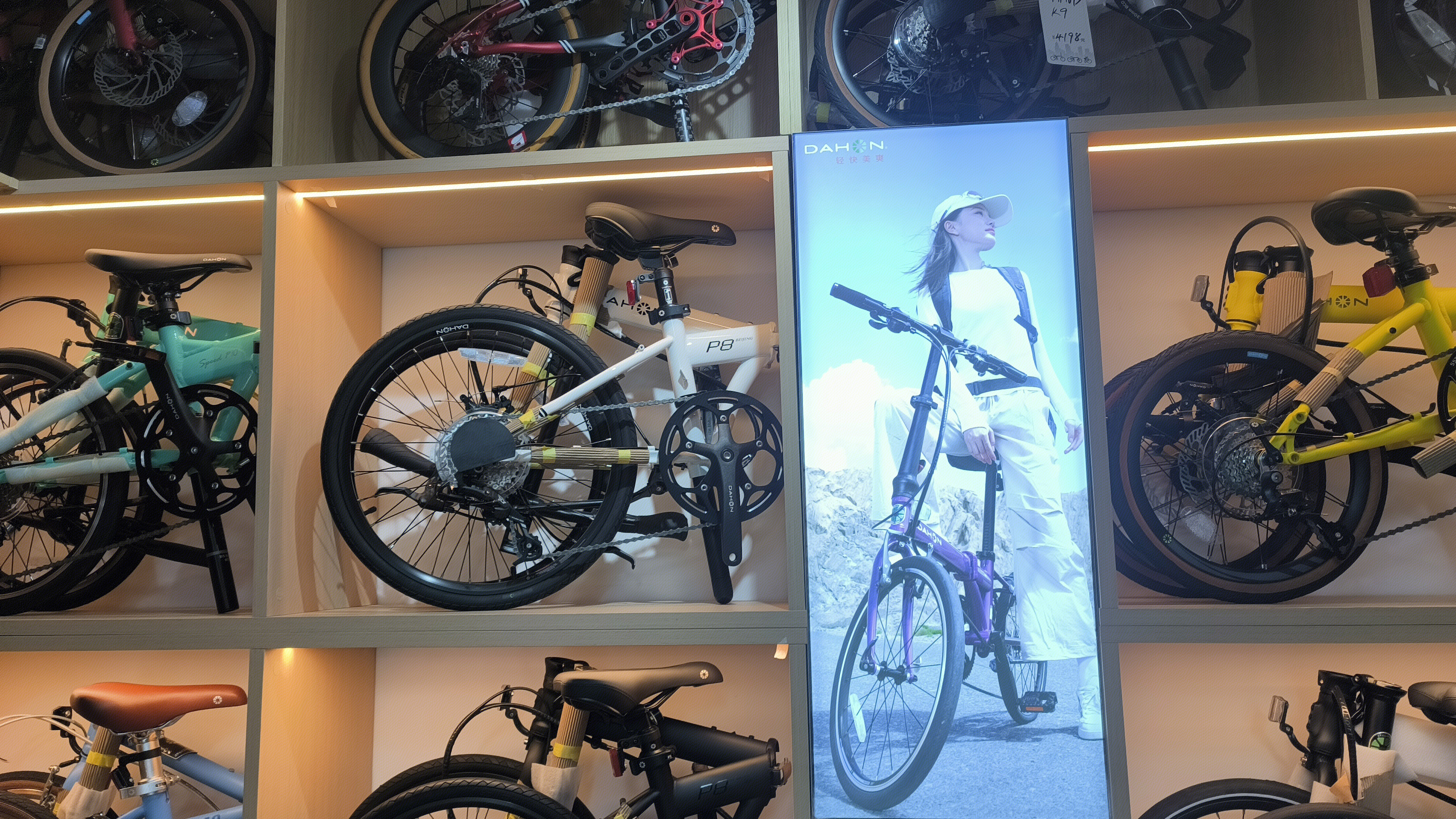 DAHON 大行折叠自行车 折叠自行车品牌