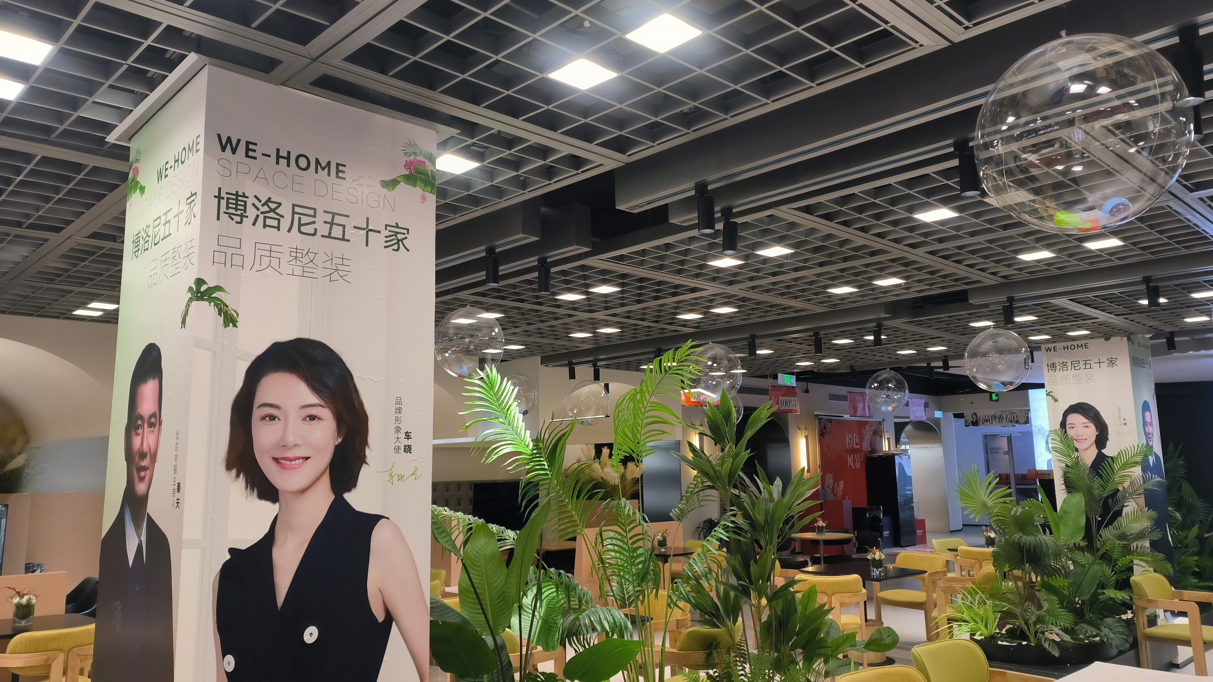 博洛尼全屋定制 BOLONI 形象代言人 车晓