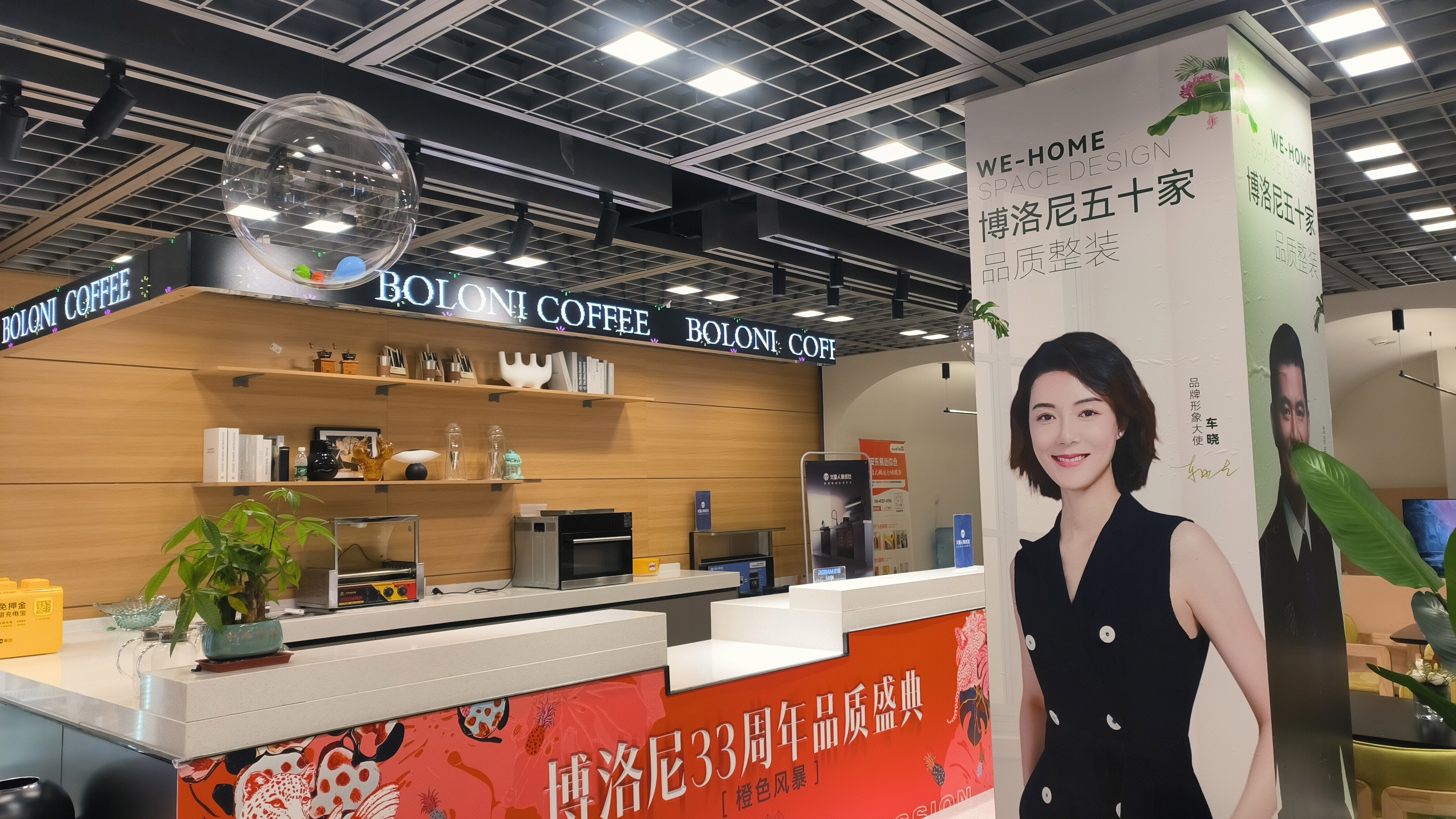 博洛尼全屋定制 BOLONI 形象代言人 车晓