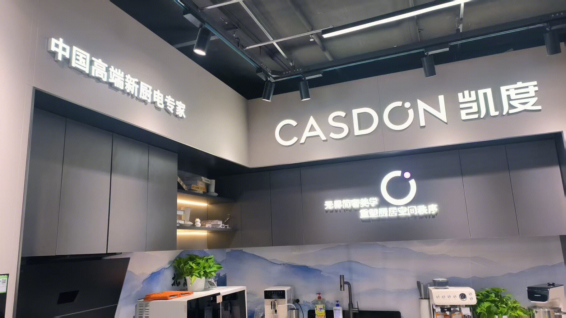 凯度 CASDON 中国高端新厨电专家