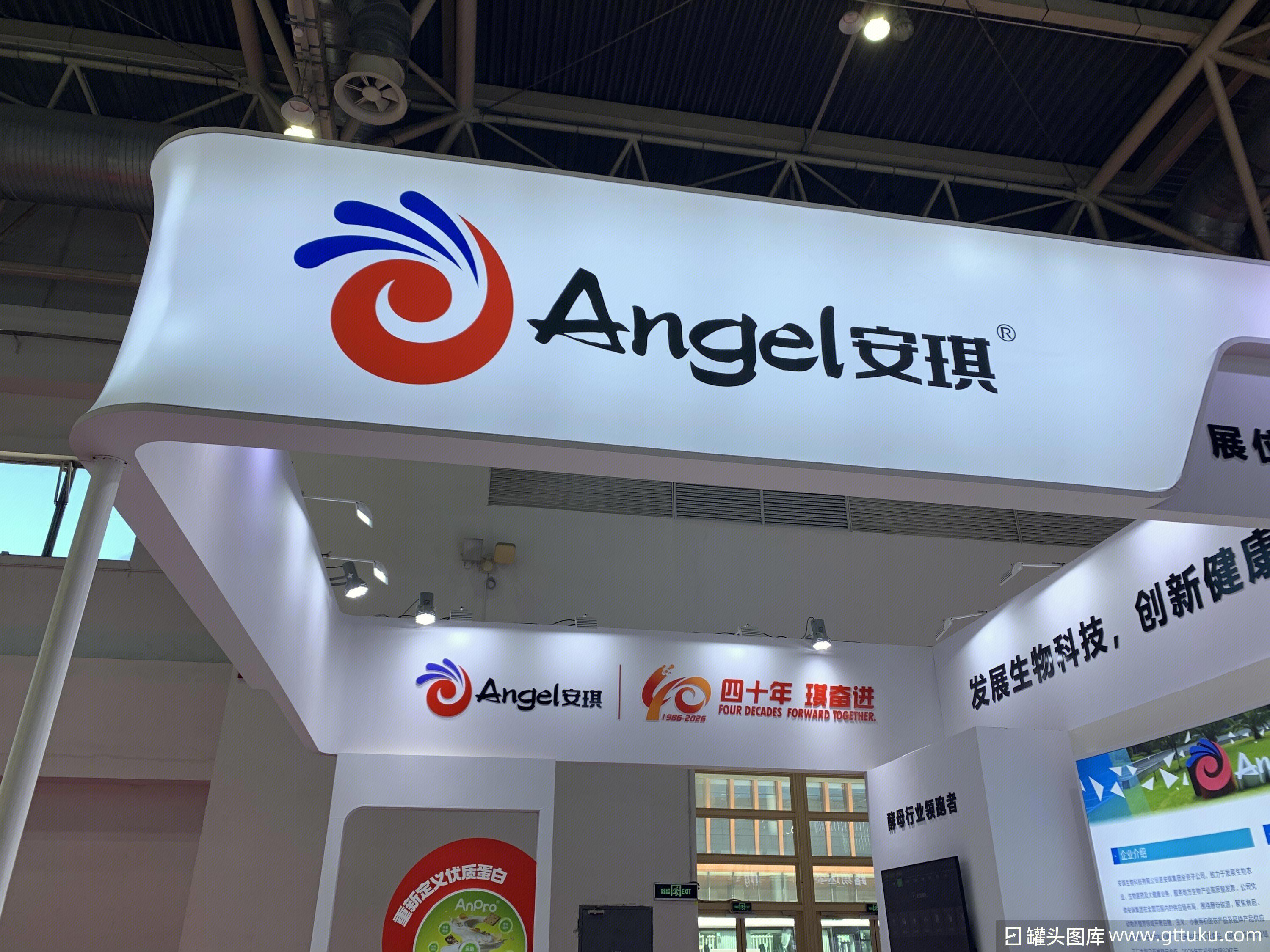 安琪 Angel